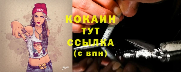 мяу мяу мука Баксан