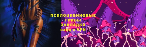 мяу мяу мука Баксан